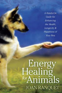 Energy Healing For Animals