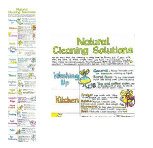 Natural Cleaning Solutions Chart