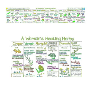 Women's Healing Herbs Chart