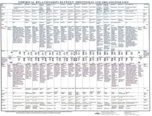 Paracelsus Clinic Dental Meridian Chart (laminated)